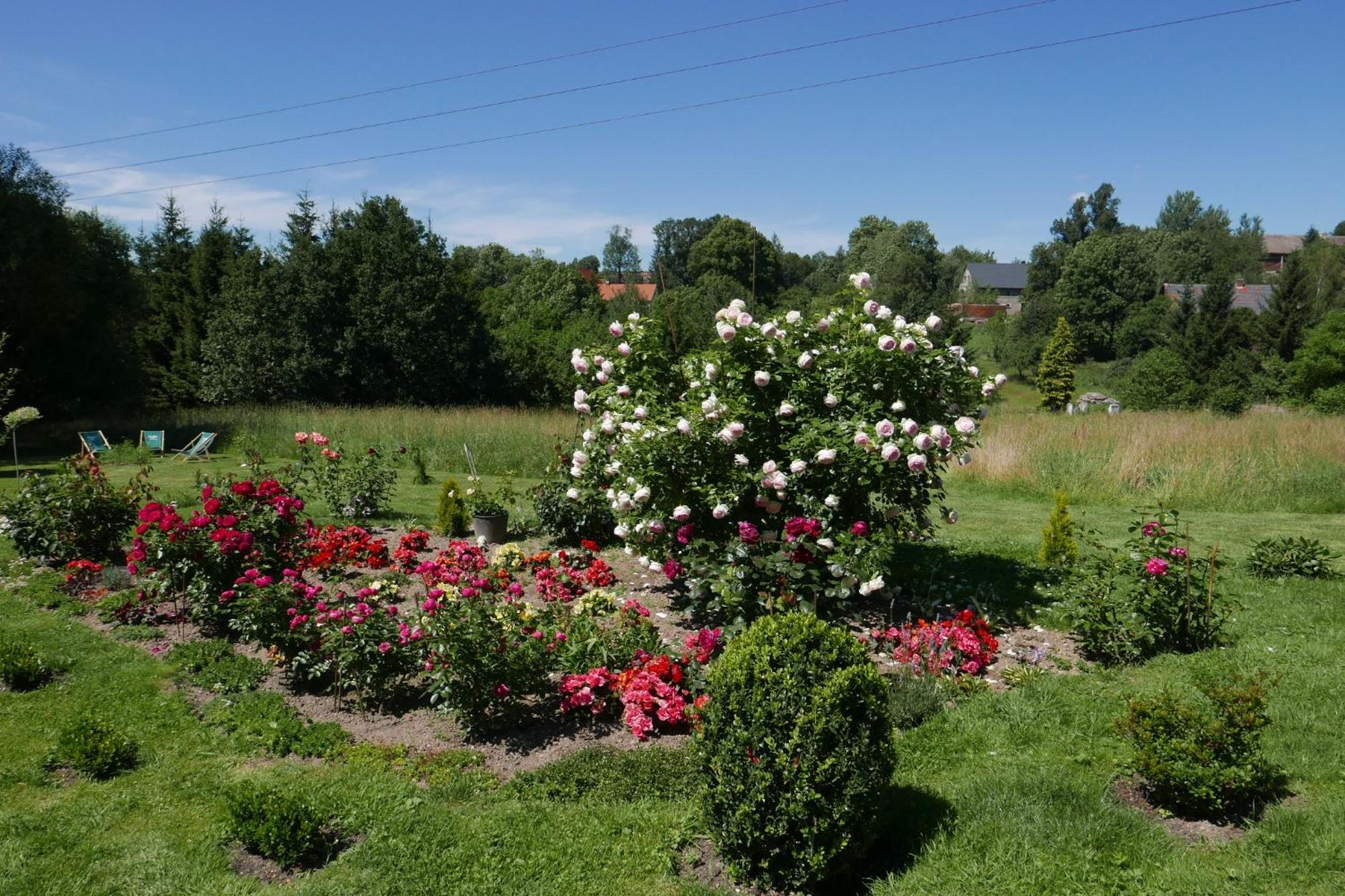 Roze I Jablonie Agroturystyka Грыфув-Слёнский Экстерьер фото