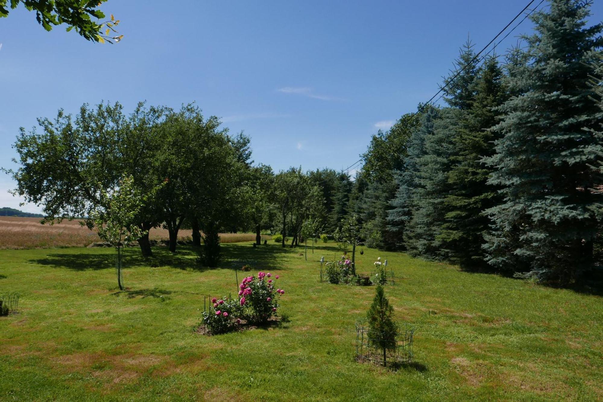 Roze I Jablonie Agroturystyka Грыфув-Слёнский Экстерьер фото