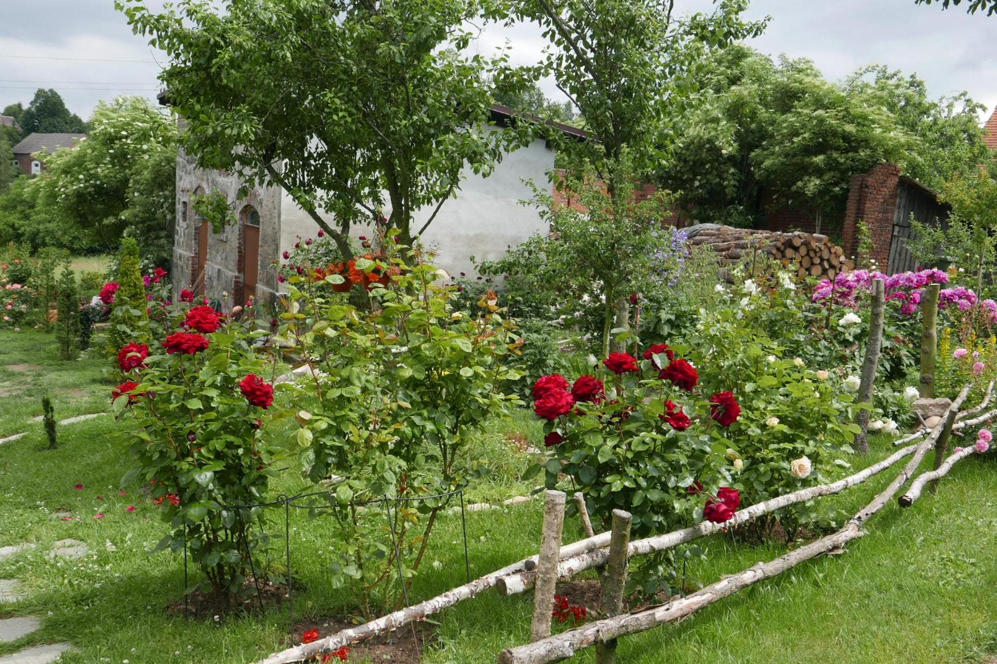 Roze I Jablonie Agroturystyka Грыфув-Слёнский Экстерьер фото